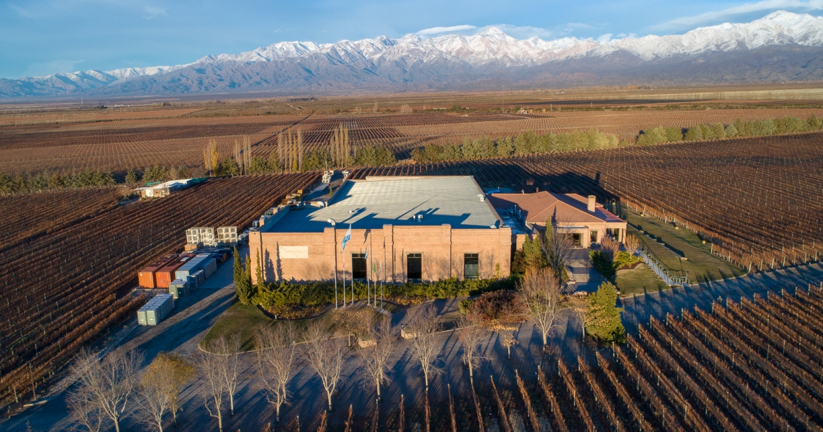 Paisaje de Mendoza entre viñedos y Cordillera de los Andes